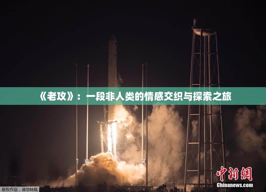 《老攻》：一段非人类的情感交织与探索之旅