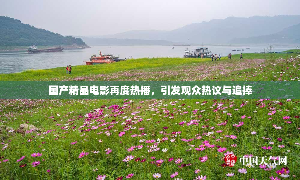 国产精品电影再度热播，引发观众热议与追捧