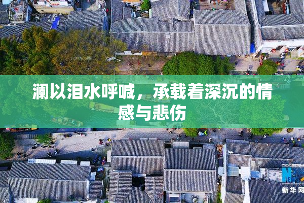 澜以泪水呼喊，承载着深沉的情感与悲伤