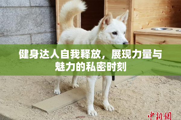 健身达人自我释放，展现力量与魅力的私密时刻