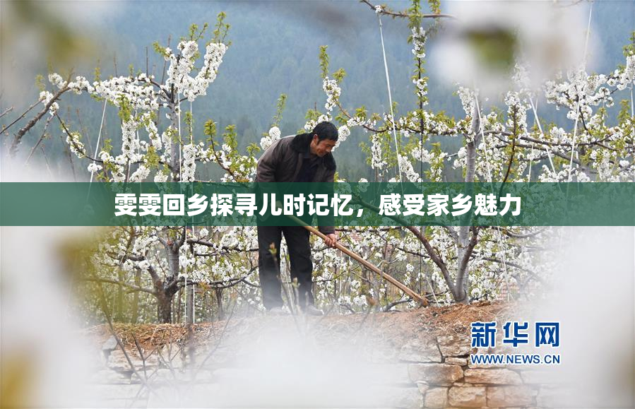 雯雯回乡探寻儿时记忆，感受家乡魅力