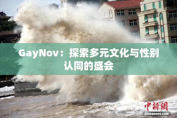 GayNov：探索多元文化与性别认同的盛会