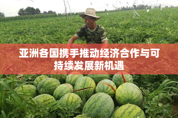 亚洲各国携手推动经济合作与可持续发展新机遇