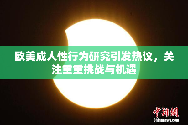 欧美成人性行为研究引发热议，关注重重挑战与机遇