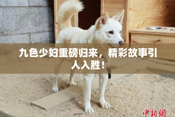 九色少妇重磅归来，精彩故事引人入胜！