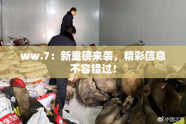 ww.7：新重磅来袭，精彩信息不容错过！