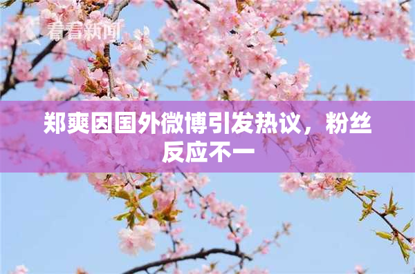 郑爽因国外微博引发热议，粉丝反应不一