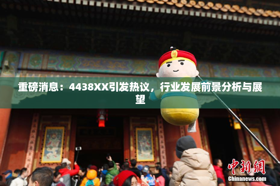 重磅消息：4438XX引发热议，行业发展前景分析与展望