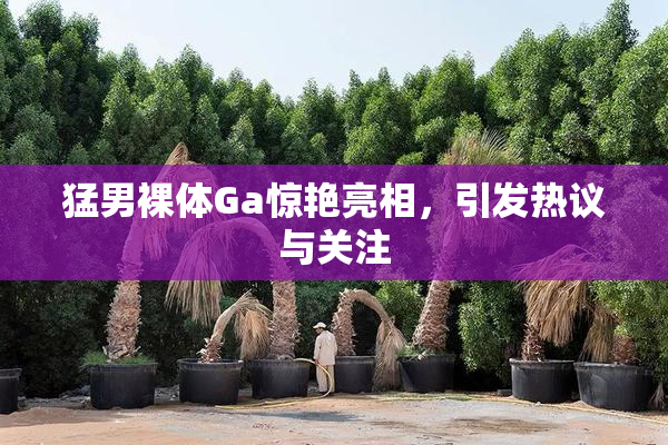 猛男裸体Ga惊艳亮相，引发热议与关注