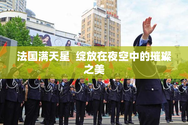 法国满天星  绽放在夜空中的璀璨之美