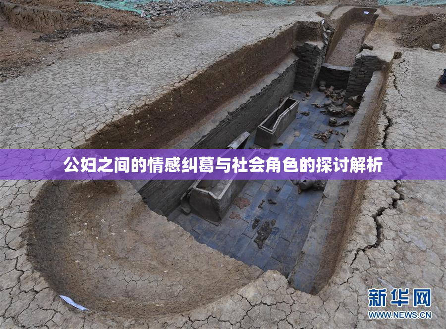 公妇之间的情感纠葛与社会角色的探讨解析