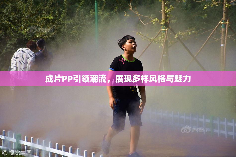 成片PP引领潮流，展现多样风格与魅力
