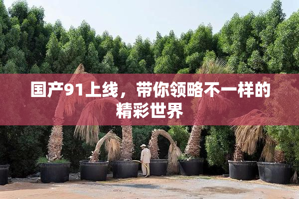 国产91上线，带你领略不一样的精彩世界