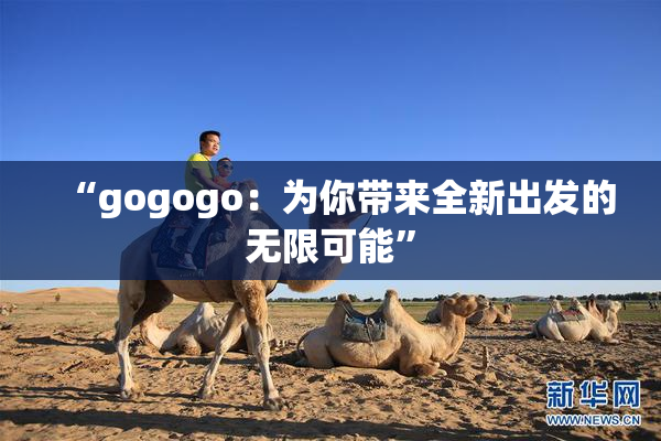 “gogogo：为你带来全新出发的无限可能”