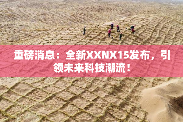重磅消息：全新XXNX15发布，引领未来科技潮流！