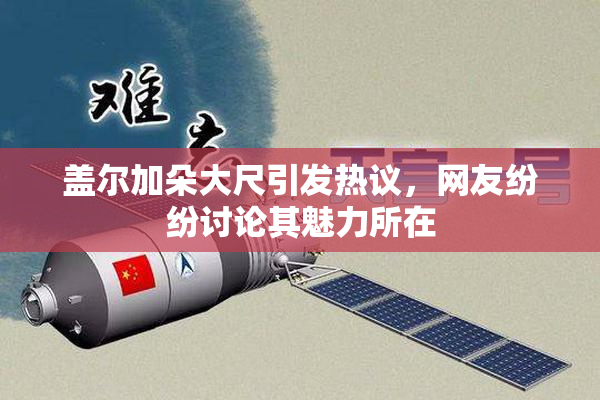 盖尔加朵大尺引发热议，网友纷纷讨论其魅力所在