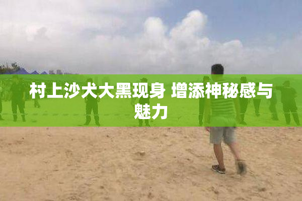 村上沙犬大黑现身 增添神秘感与魅力