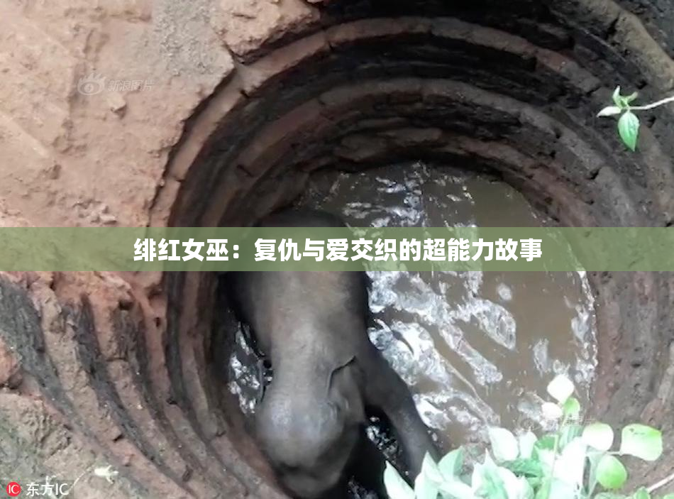 绯红女巫：复仇与爱交织的超能力故事