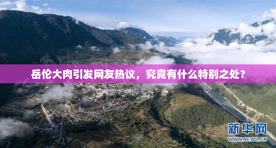 岳伦大肉引发网友热议，究竟有什么特别之处？