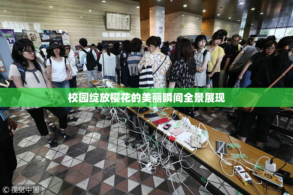 校园绽放樱花的美丽瞬间全景展现