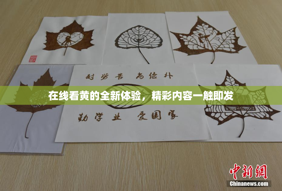 在线看黄的全新体验，精彩内容一触即发