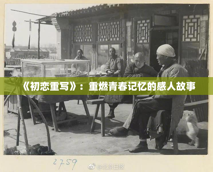 《初恋重写》：重燃青春记忆的感人故事