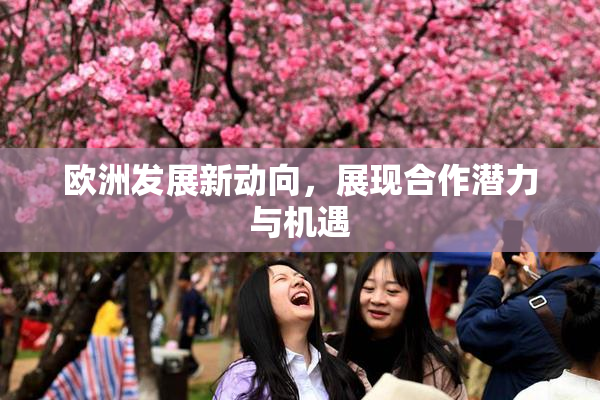 欧洲发展新动向，展现合作潜力与机遇