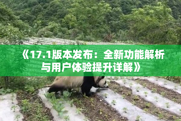 《17.1版本发布：全新功能解析与用户体验提升详解》