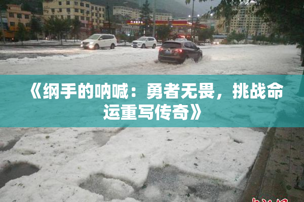 《纲手的呐喊：勇者无畏，挑战命运重写传奇》