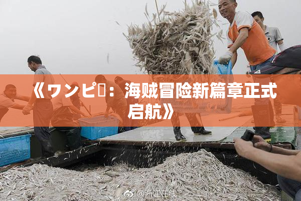 《ワンピー：海贼冒险新篇章正式启航》
