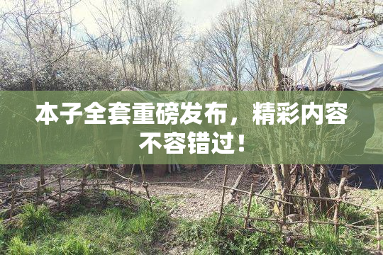 本子全套重磅发布，精彩内容不容错过！