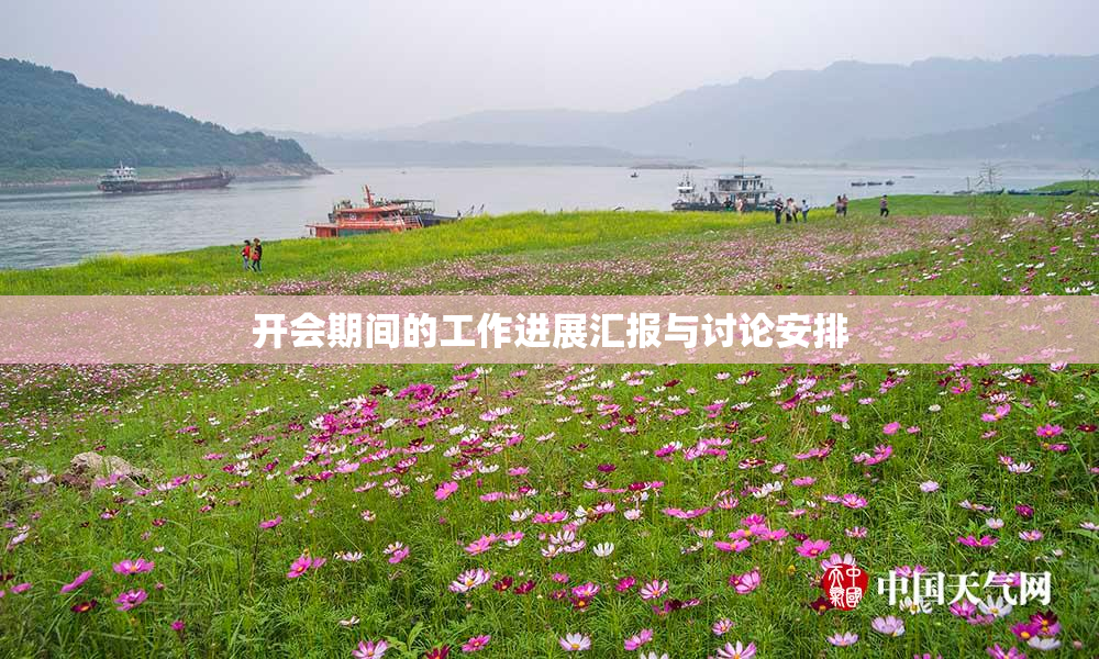 开会期间的工作进展汇报与讨论安排