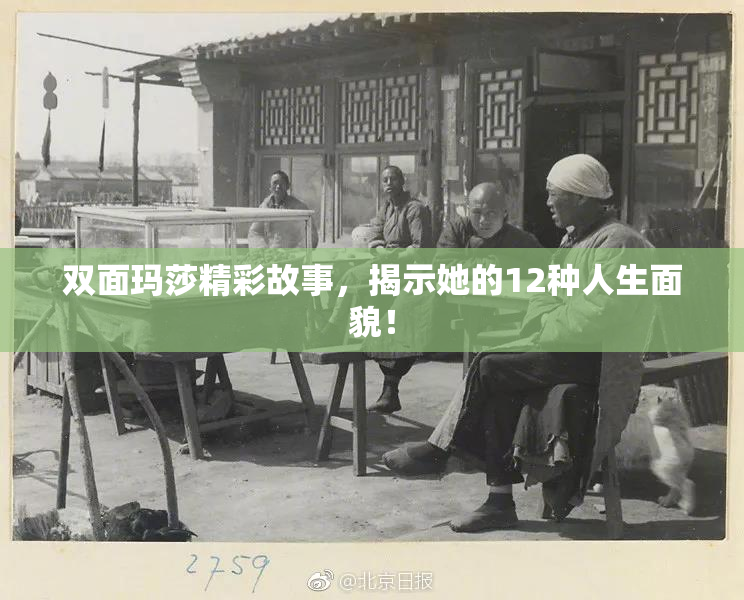双面玛莎精彩故事，揭示她的12种人生面貌！