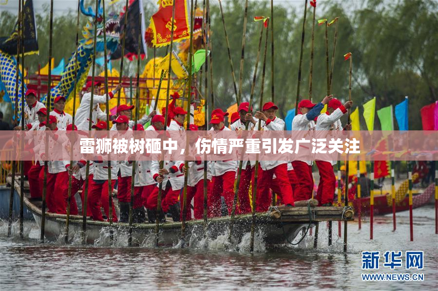 雷狮被树砸中，伤情严重引发广泛关注