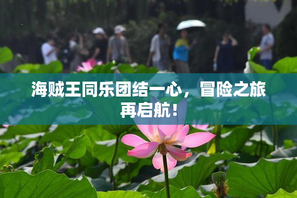 海贼王同乐团结一心，冒险之旅再启航！