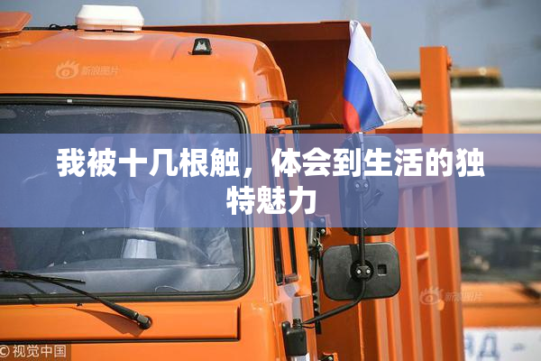 我被十几根触，体会到生活的独特魅力