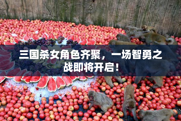 三国杀女角色齐聚，一场智勇之战即将开启！