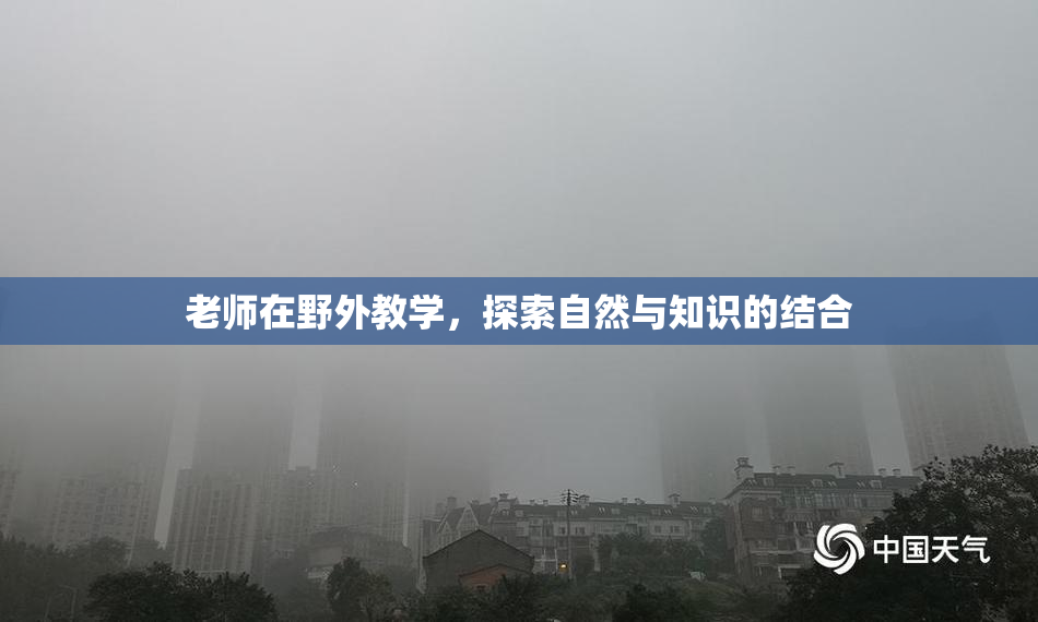 老师在野外教学，探索自然与知识的结合