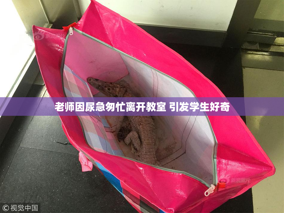 老师因尿急匆忙离开教室 引发学生好奇