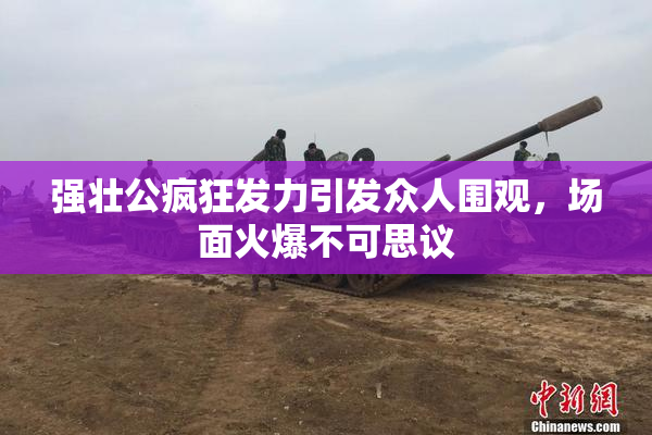 强壮公疯狂发力引发众人围观，场面火爆不可思议