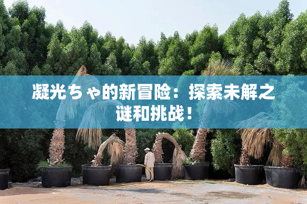 凝光ちゃ的新冒险：探索未解之谜和挑战！