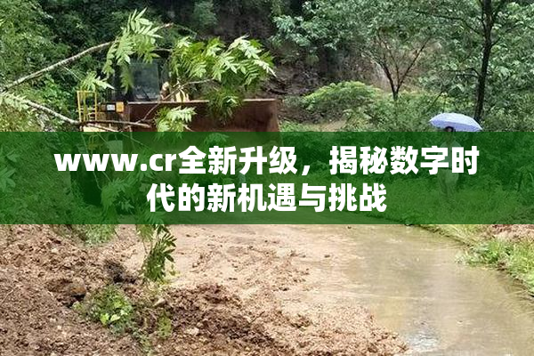 www.cr全新升级，揭秘数字时代的新机遇与挑战