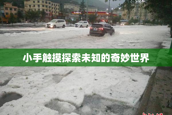 小手触摸探索未知的奇妙世界