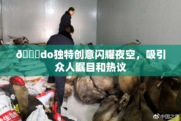 🔞do独特创意闪耀夜空，吸引众人瞩目和热议