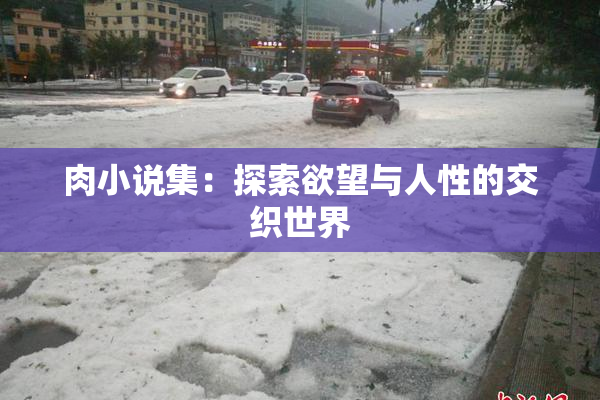 肉小说集：探索欲望与人性的交织世界