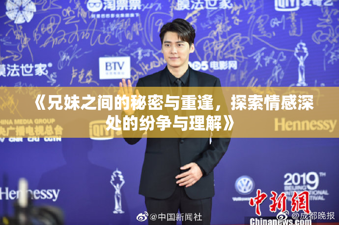 《兄妹之间的秘密与重逢，探索情感深处的纷争与理解》