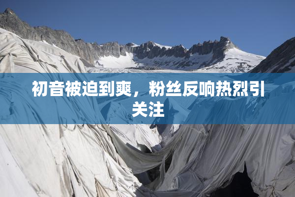 初音被迫到爽，粉丝反响热烈引关注