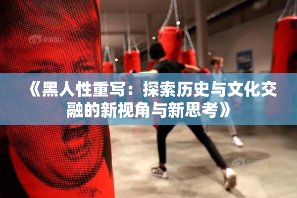 《黑人性重写：探索历史与文化交融的新视角与新思考》