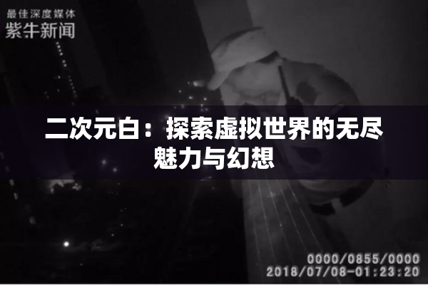 二次元白：探索虚拟世界的无尽魅力与幻想