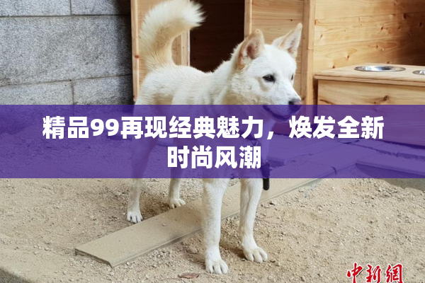 精品99再现经典魅力，焕发全新时尚风潮